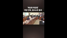 [속보] ‘채상병 특검법’ 야당 단독 국회 법사위 소위 통과