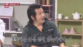 파·고수·쑥갓… 풀이란 풀은 다 먹는 '초식(?) 호랑이' 김보성!