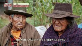 페루 안데스 산맥, 90세는 기본! 노인들의 장수 비결은?