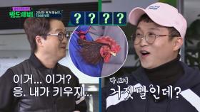 (당황;;) 살아있는 닭 들고 등장한 '독거 예능인' 지상렬(ㅋㅋ)