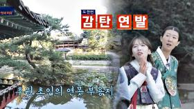 [선공개] 감탄연발 '조선왕가의 정원', 알고 보면 보이는 아름다움