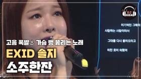 EXID 솔지가 부르는 임창정 '소주 한 잔'♪