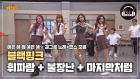 흥 폭발↗↗ 블랙핑크의 댄스 