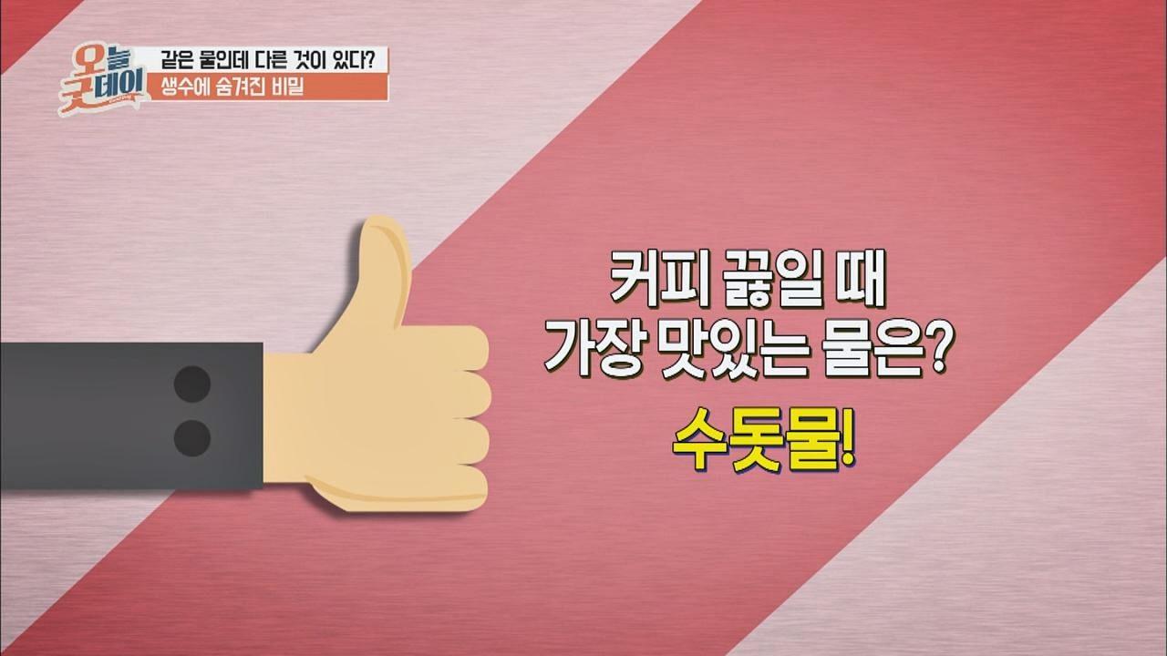 [궁금타파] 커피 끓일 때 가장 맛있는 물 수돗물 | ZUM TV