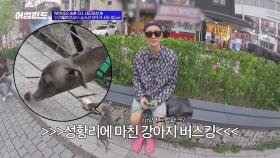 [선공개] 이승훈x 반려견 