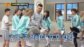 '인해전술' 트와이스 vs '천하장사' 강호동, 닭싸움 대결 승자는?