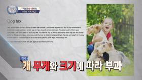 스위스-독일, 이색 세금! '개세' 개를 키운다면 세금 내야 해…