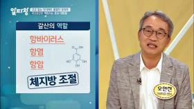 체지방↓ 고지혈증 예방에 탁월(!) 보이차 '갈산' 성분