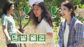 효리네 민박에 아이유가 왔습니다! 맨발로 마중나간 상순