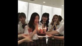 [라이브 영상] 트와이스 멤버 다현을 위한 깜짝 생일 축하!