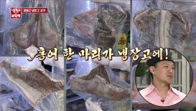 [최초] 양동근, 출연을 위해 공수한 '홍어' 6종 세트!