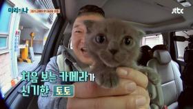 호동의 마리 아기 고양이 토토를 소개합니다♥