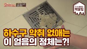 하수구 악취를 없애고 싶을 때는? OO얼음!