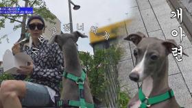 (개아련) 오뜨, 당 충전 중인 승훈 아빠에 시선 고정⊙_⊙