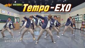 (멋짐 뿜뿜↗) 어디에도 없을 'EXO'의 'Temp'♪ 무대