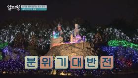 장관이고 절경인 '야경 빛 축제'에서 즐기는 낭만여행★