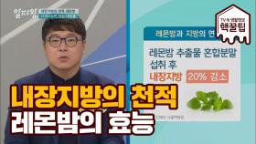 내장지방의 천적 '레몬밤' 효능 알아보기