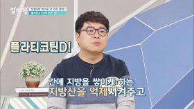 간 건강 잡이 플라티코딘D의 효능 ☞ 지방산 억제 & 지방간 극복