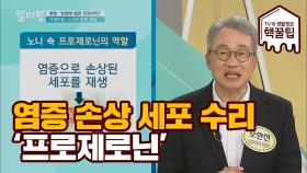 '염증'으로 손상된 세포 수리해주는 노니의 핵심 성분 '프로제로닌'