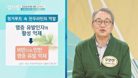 현대인이 꼭 챙겨야 할 필수품! 핑거루트 효능 大 방출