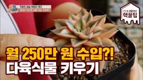 [월 수입 250만 원] 집에서 다육식물 키우기!