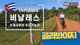 쿠바_비냘레스 편(Cuba_Vinales), 비밀스러운 계곡 투어 #트래블러_JTBC봐야지