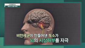 비만을 되풀이하게 되는 장 속의 '비만 세균'