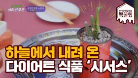 하늘에서 내려온 다이어트 식품! '시서스'