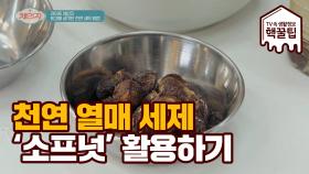 환경을 생각한 천연 열매 세제 '소프넛' 활용하기