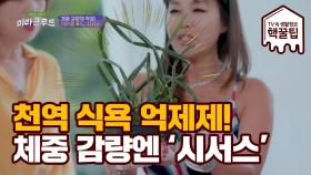 체중 감량에 탁월! 천연 식욕 억제제 '시서스'