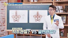 [건강 정보] 증상이 비슷한 척추관절 vs 골반관절 증상 구분법