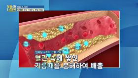 (건강 정보) 크릴 오일의 효능 혈관 속 기름때 분해 배출