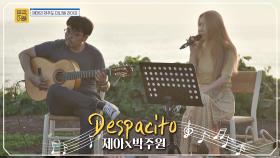 [혼족어게인] 라틴 소울 가득한 제아x박주원의 'Despacito'