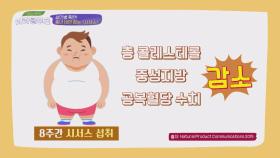 중년 비만 잡는 ＜시서스＞의 다양한 효능 전격 공개