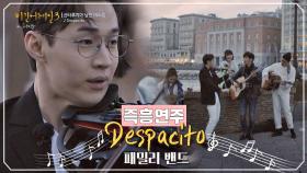 '즉석 연주 천재' 헨리x더 패밀리의 'Despacito' (in 산타루치아)