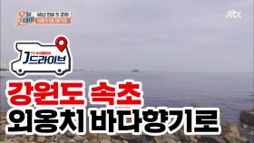 [국내]65년 만에 전면 개방한 '외옹치 바다향기로'