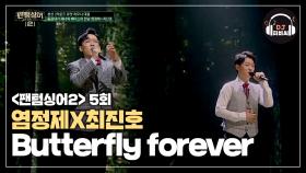 볼 수록 몰입되는 염정제X최진호의 'Butterfly forever'