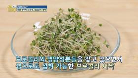 (건강한 식습관) 천연 면역력 강화제, '브로콜리 새싹'