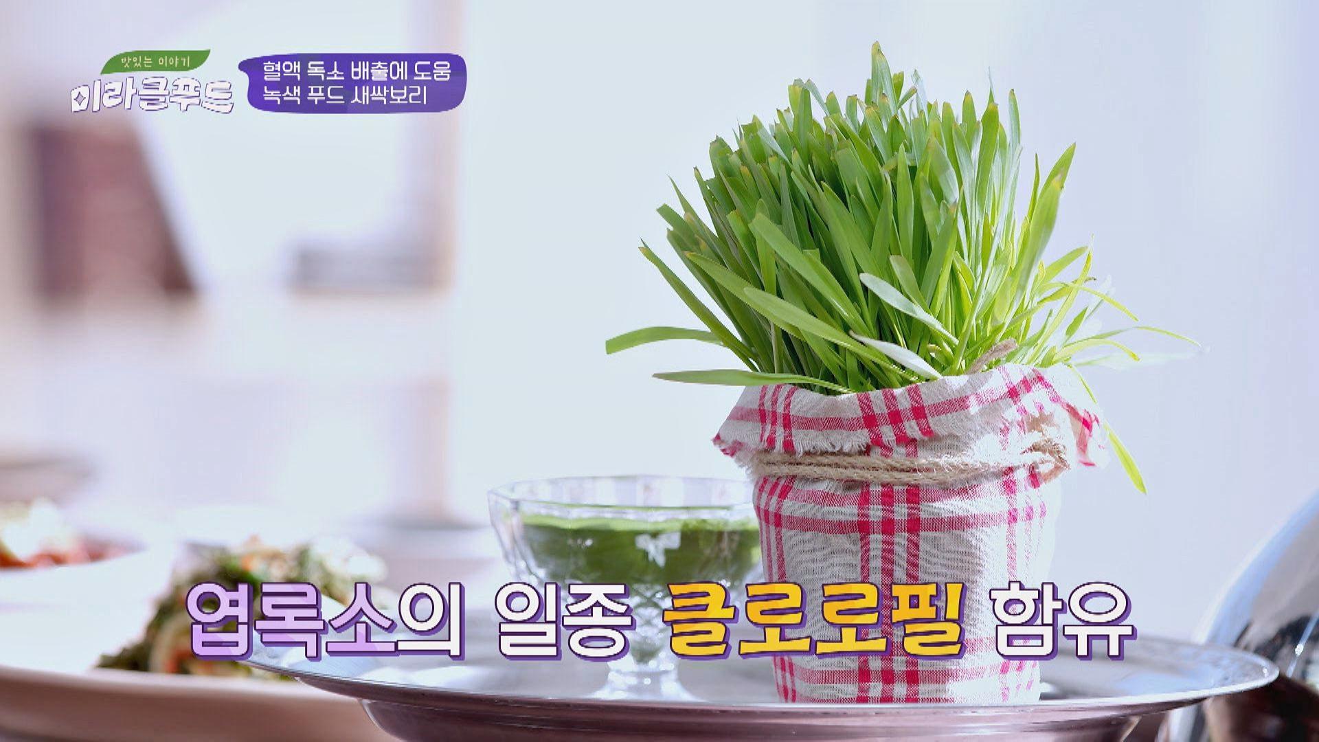 새싹보리 속 콜로로필은 혈액 독소 배출에 도움! | ZUM TV
