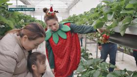 (농촌 교육 농장) '영어'와 '딸기 체험'을 접목시킨 '딸기 체험 농장'