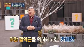 위장 괄약근을 자극해 [식도암]을 유발하는 '카페인'