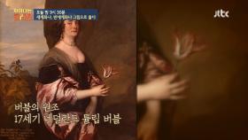[선공개] 튤립 알뿌리 하나에 약 5억 원? '튤립 버블'의 속사정