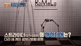 (오옷) '머리 땋는 모습'에서 아이디어 얻은 '스트라이더 로봇'