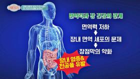 장 건강이 인생을 좌우한다! 면역력과 장 건강의 관계