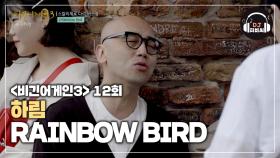 촉촉한 감성에 젖는 하림의 'RAINBOW BIRD'