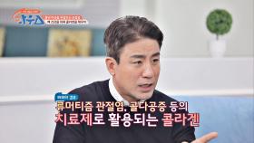 류머티즘 관절염, 골다공증 등의 치료제로 활용되는 '콜라겐'