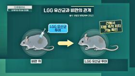 [건강 정보] 'LGG 유산균'과 비만과의 관계