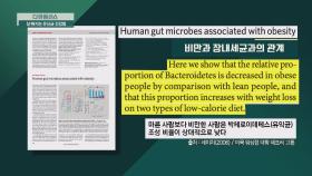 [건강 정보] 비만과 장내세균과의 관계