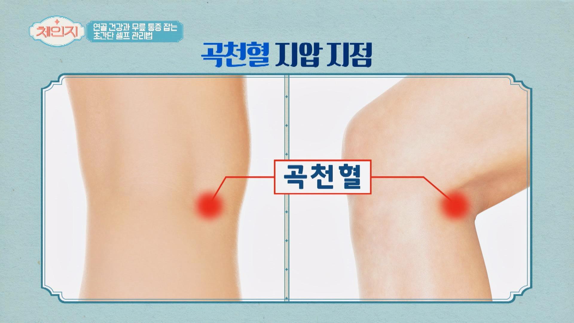 연골 건강과 무릎 통증 잡는 혈자리 지압법 | ZUM TV 연골 건강과 무릎 통증 잡는 혈자리 지압법 | Zum Tv