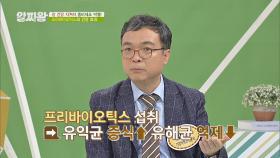 면역력 증진뿐 아니라 다이어트에 효과적인 '프리바이오틱스'